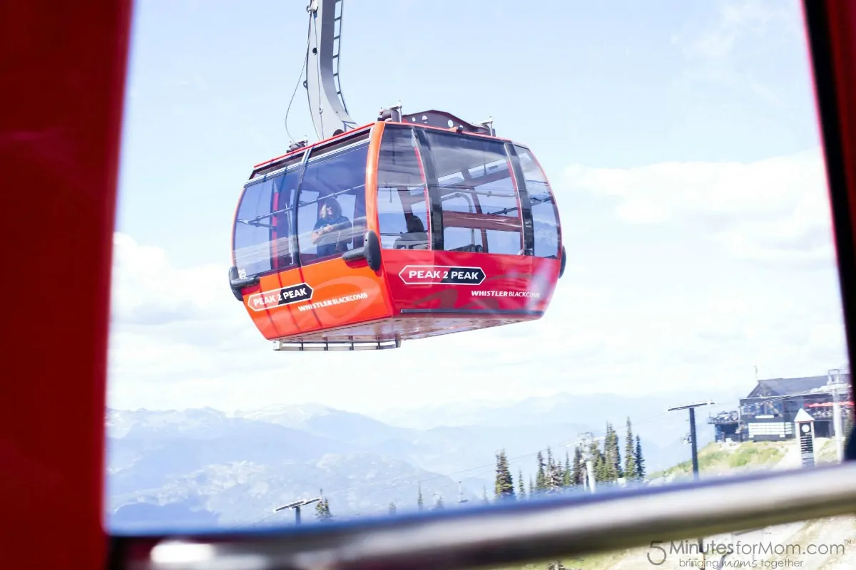 PEAK 2 PEAK Gondola - View from the window