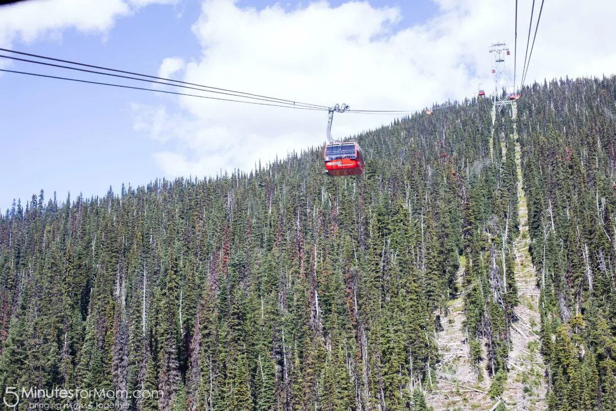 PEAK 2 PEAK Whistler Blackcomb