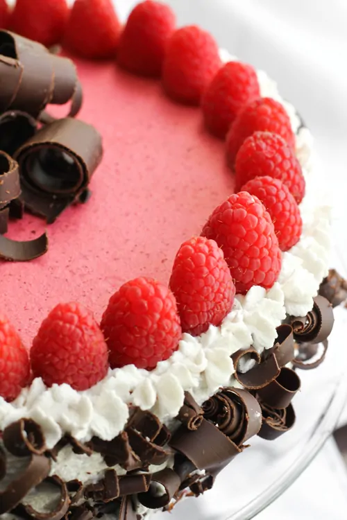 Chocolate Raspberry Bavarian Torte