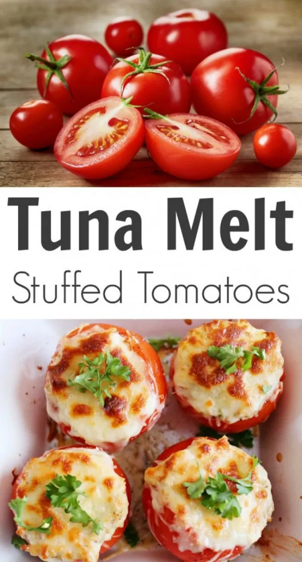 Tuna Melt Stuffed Tomatoes from TOTS Family