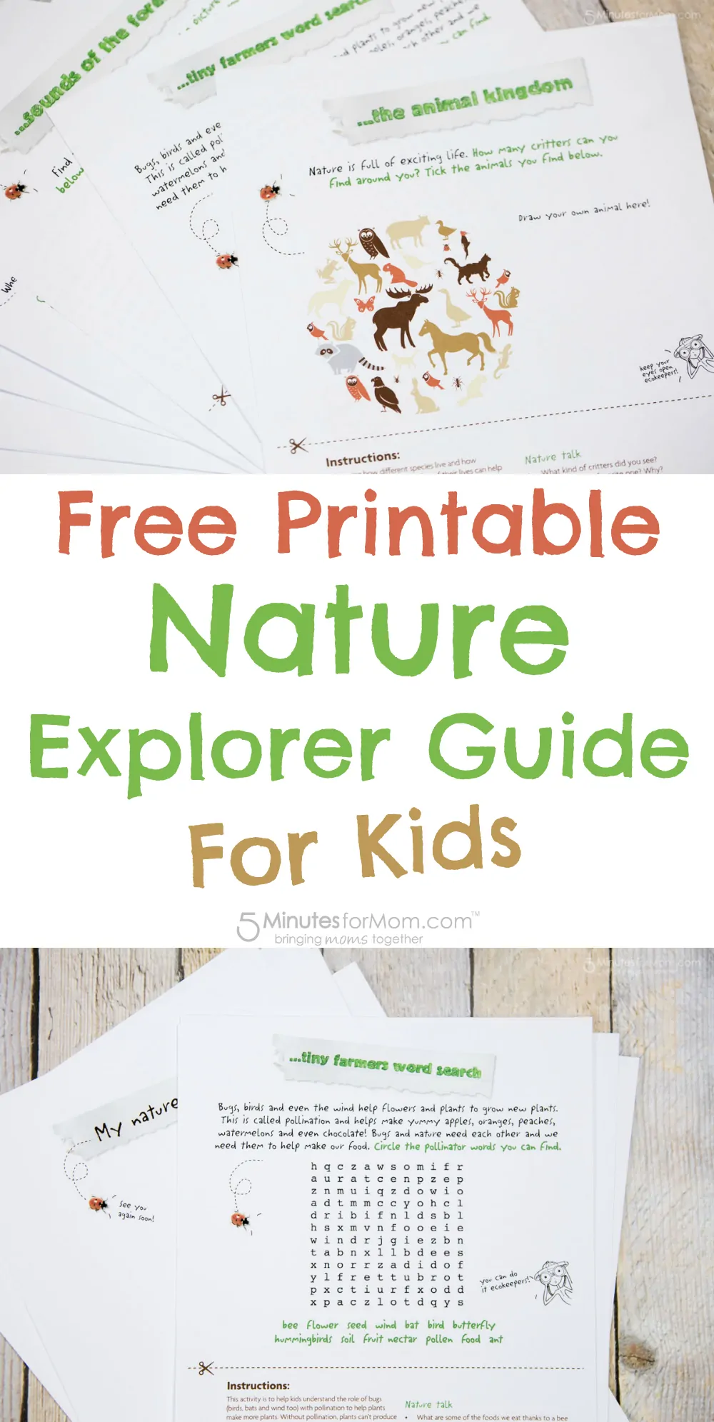 Free printable nature explorer guide for kids