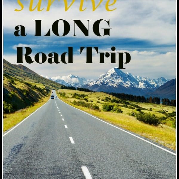 How to Survive a LONG Road Trip