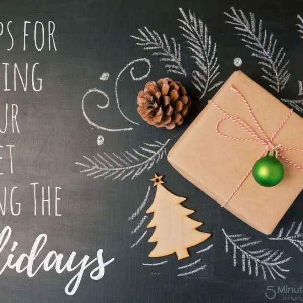 10 Tips for Sticking to Your Budget during the Holidays