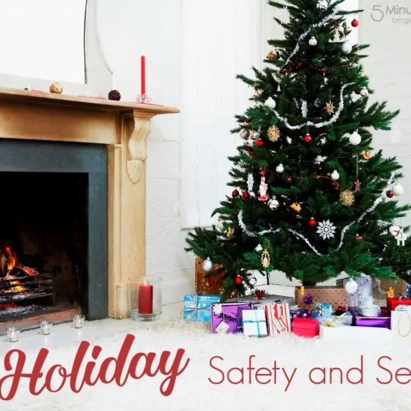 Holiday Safety and Security Tips