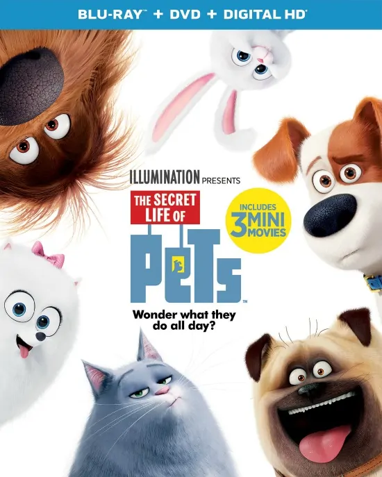 pets-2d