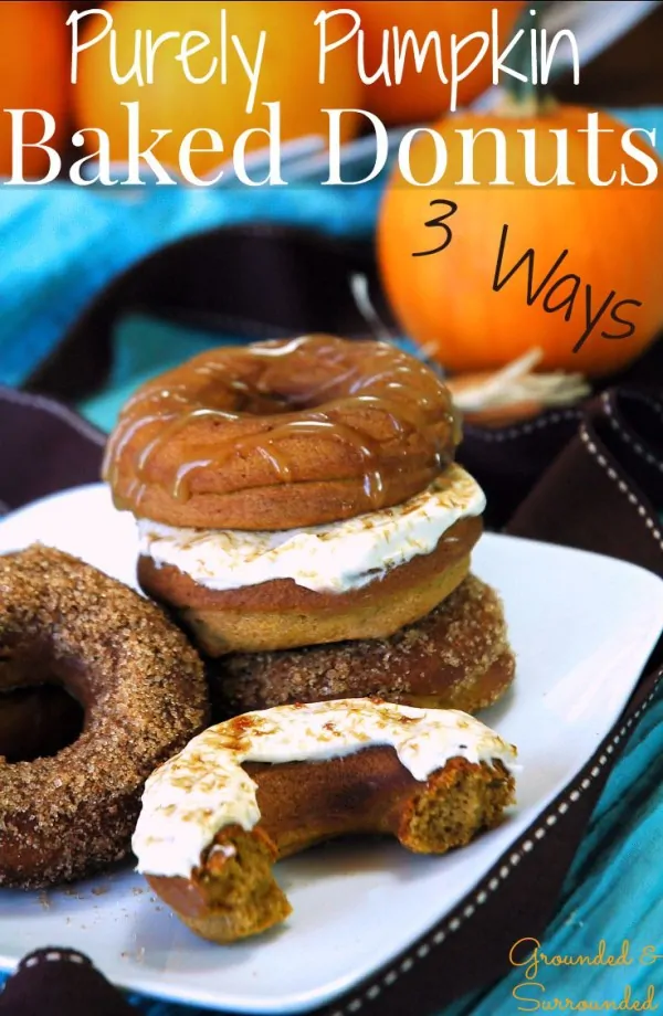 pumpkin-donuts-baked-3-ways-from-grounded-and-surrounded