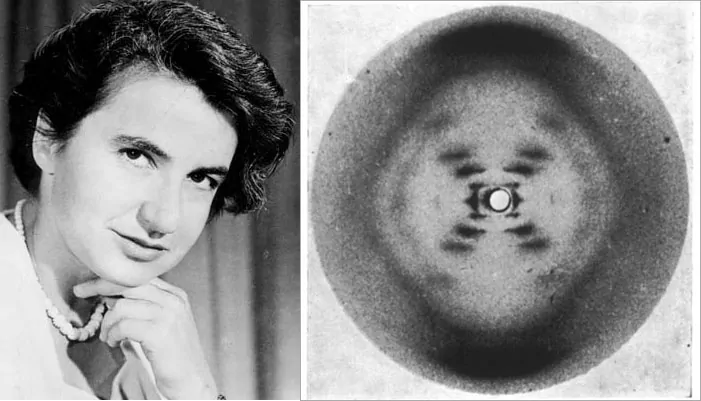 Rosalind Franklin Photo 51