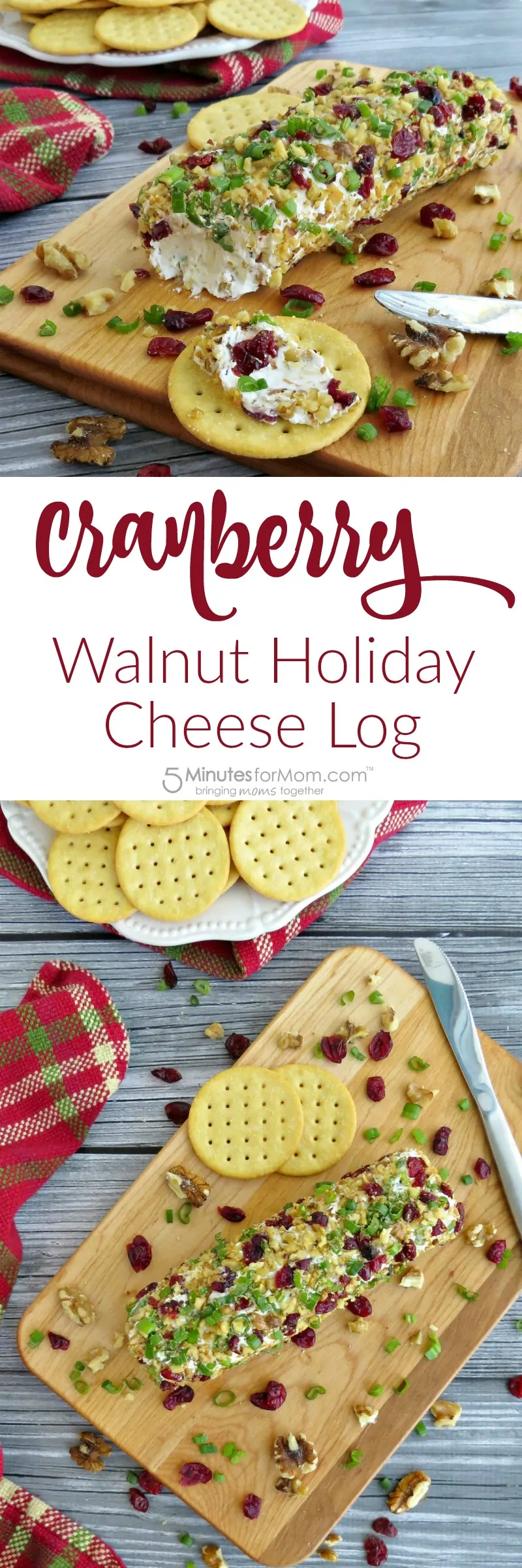 Cranberry Walnut Holiday Cheese Log Recipe