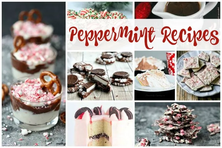 Peppermint Recipes