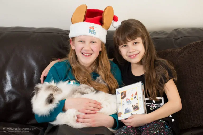 Have a Family Movie Night #TheSecretLifeofPets #PetsPack