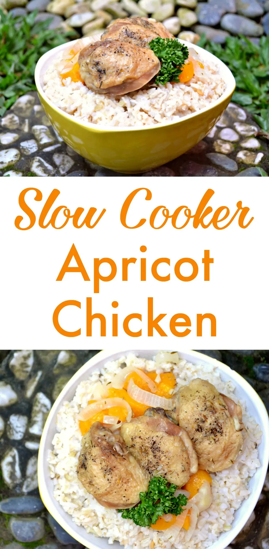 slow-cooker-apricot-chicken