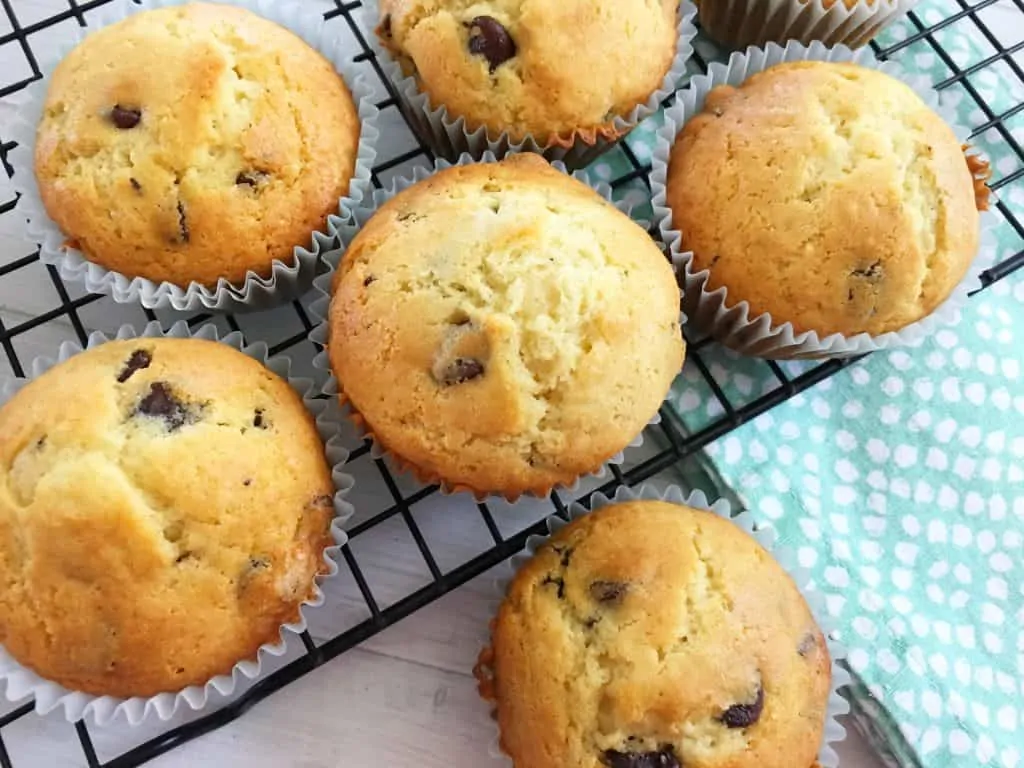 Chocolate Chip Muffins from Life with Heidi