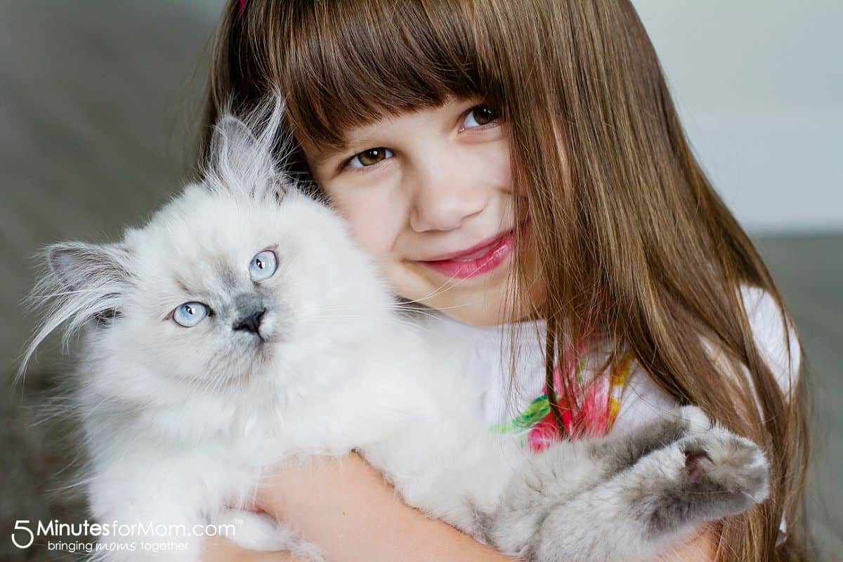 How to Love Your Pet and Feel Their Love in Return