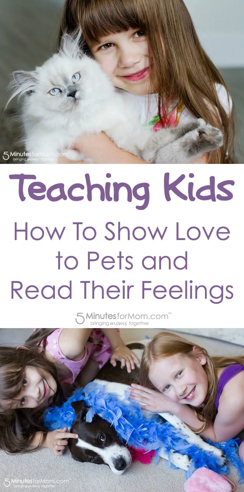 Teaching kids how to show love to pets and read their feelings