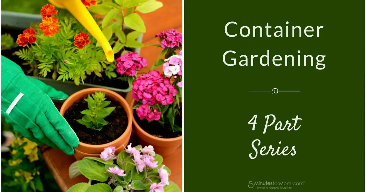 Container Gardening Series