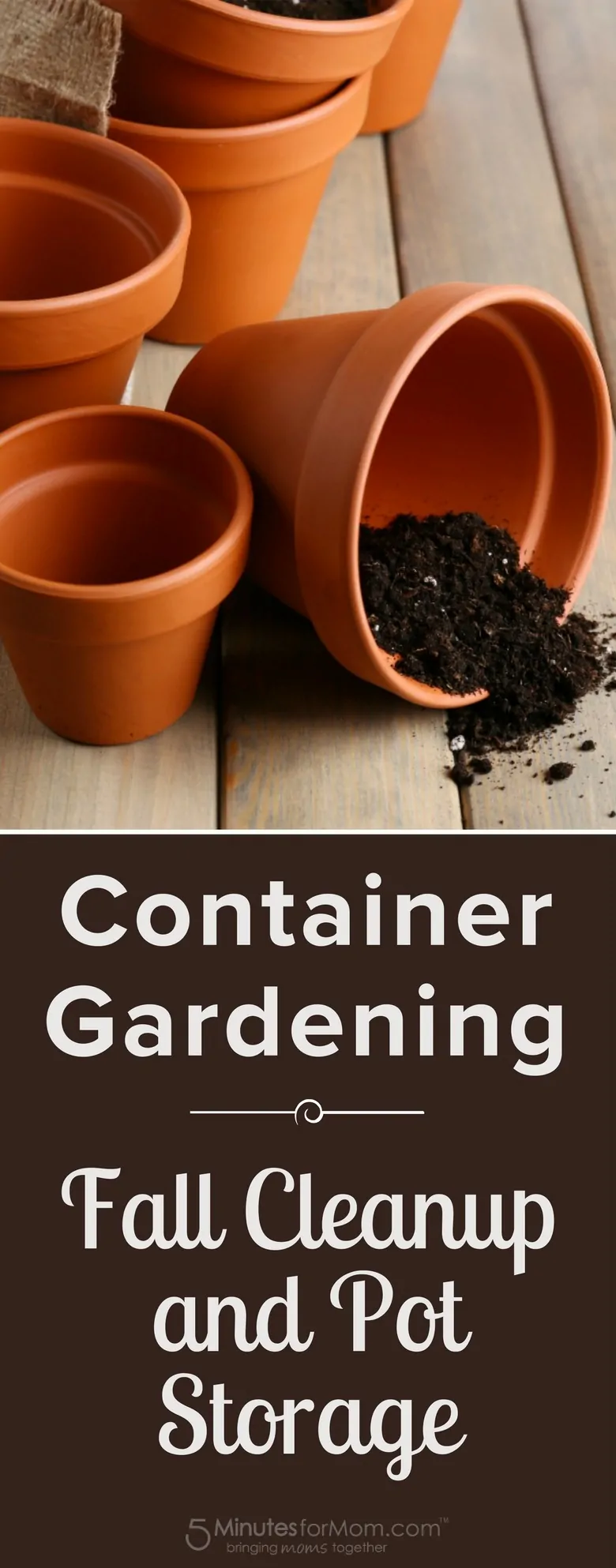 Container Gardening - Fall Cleanup and Pot Storage