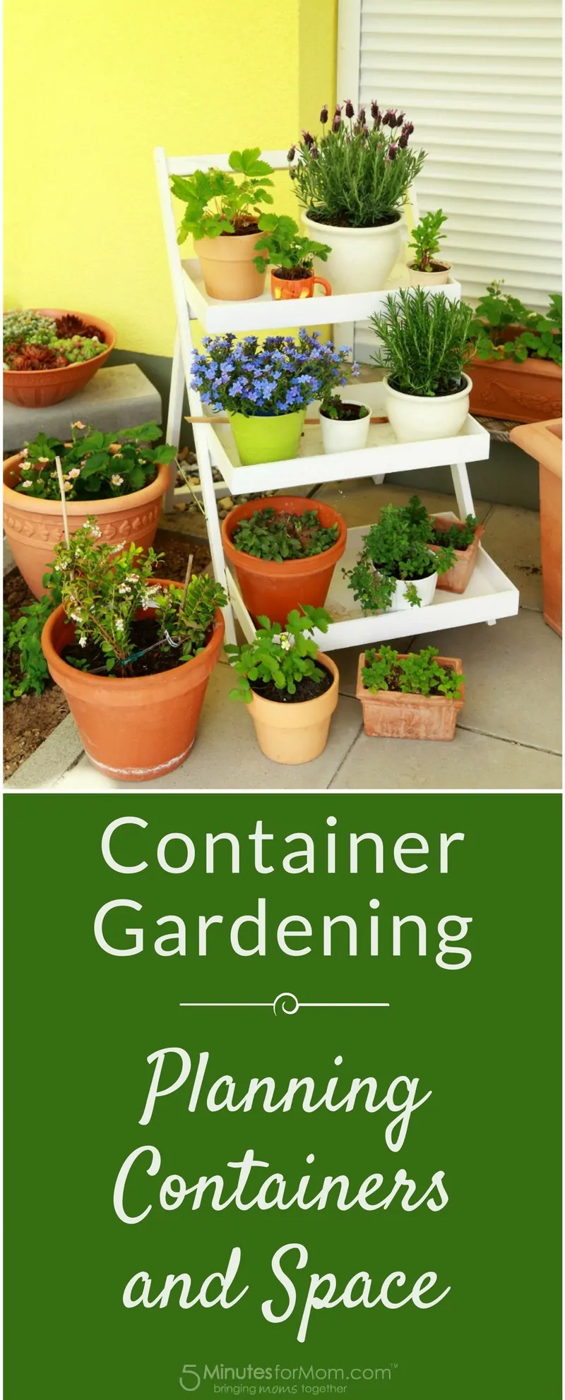 Container Gardening - Planning Containers and Space