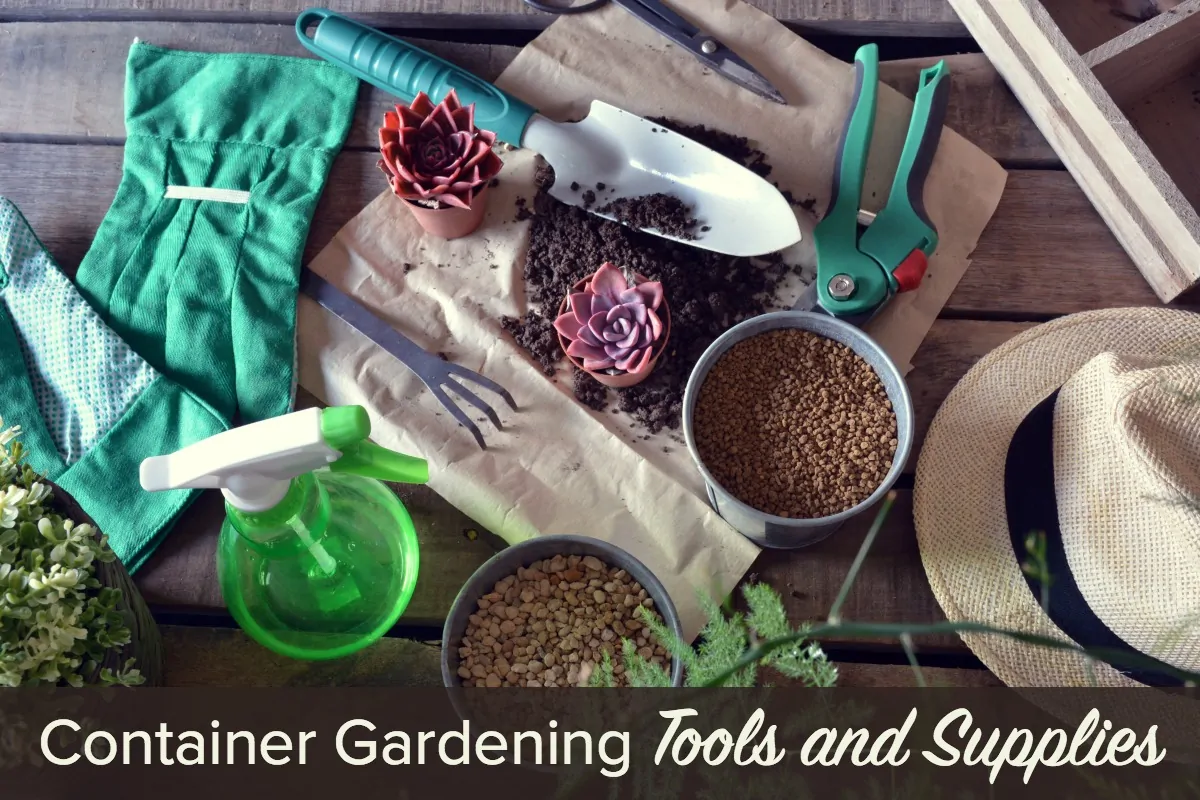 Container Gardening Tools and Supplies