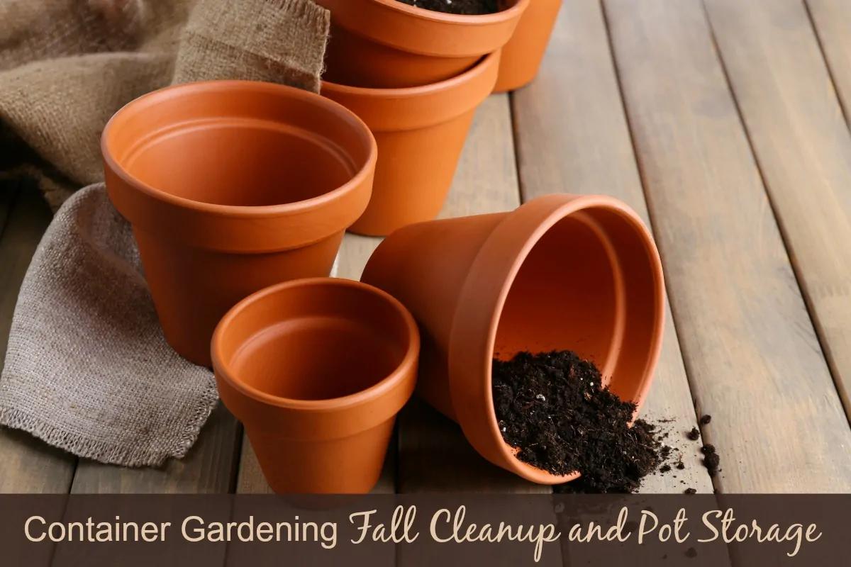 Container Gardening - Fall Cleanup and Pot Storage