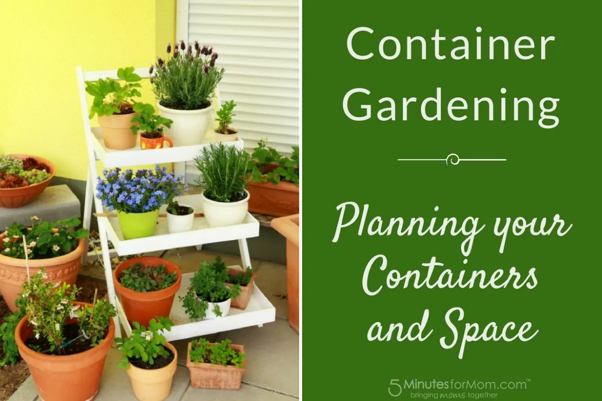 Container Gardening - Planning Containers and Space