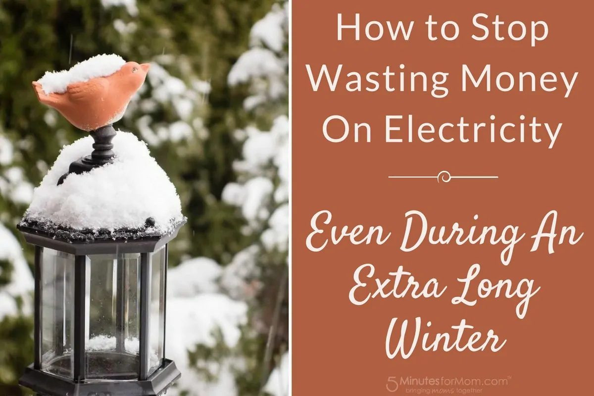 How to Stop Wasting Money on Electricity even during an extra long winter