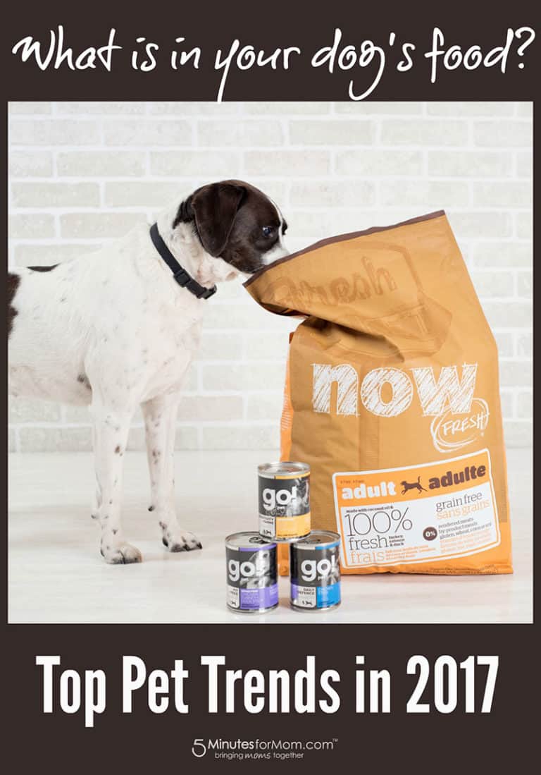 The Hottest Pet Trends in 2017 5 Minutes for Mom