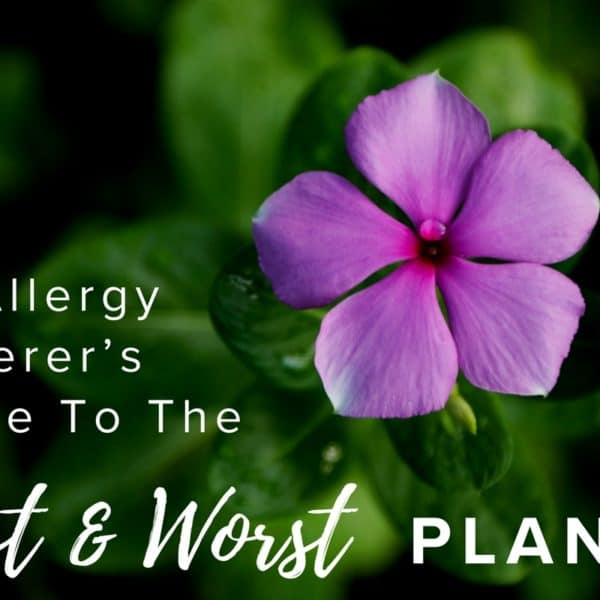 An Allergy Sufferer’s Guide to the Best and Worst Plants