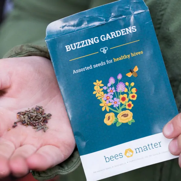 Buzzing Gardens – FREE Flower Seeds from Bees Matter