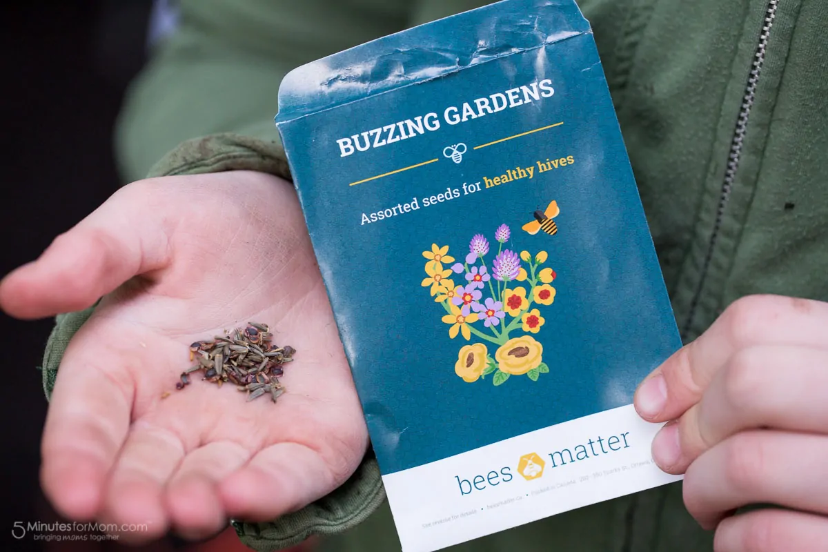 Buzzing Garden - Bees Matter