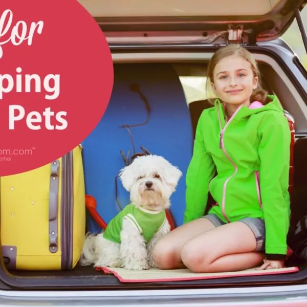 Tips for Camping With Pets