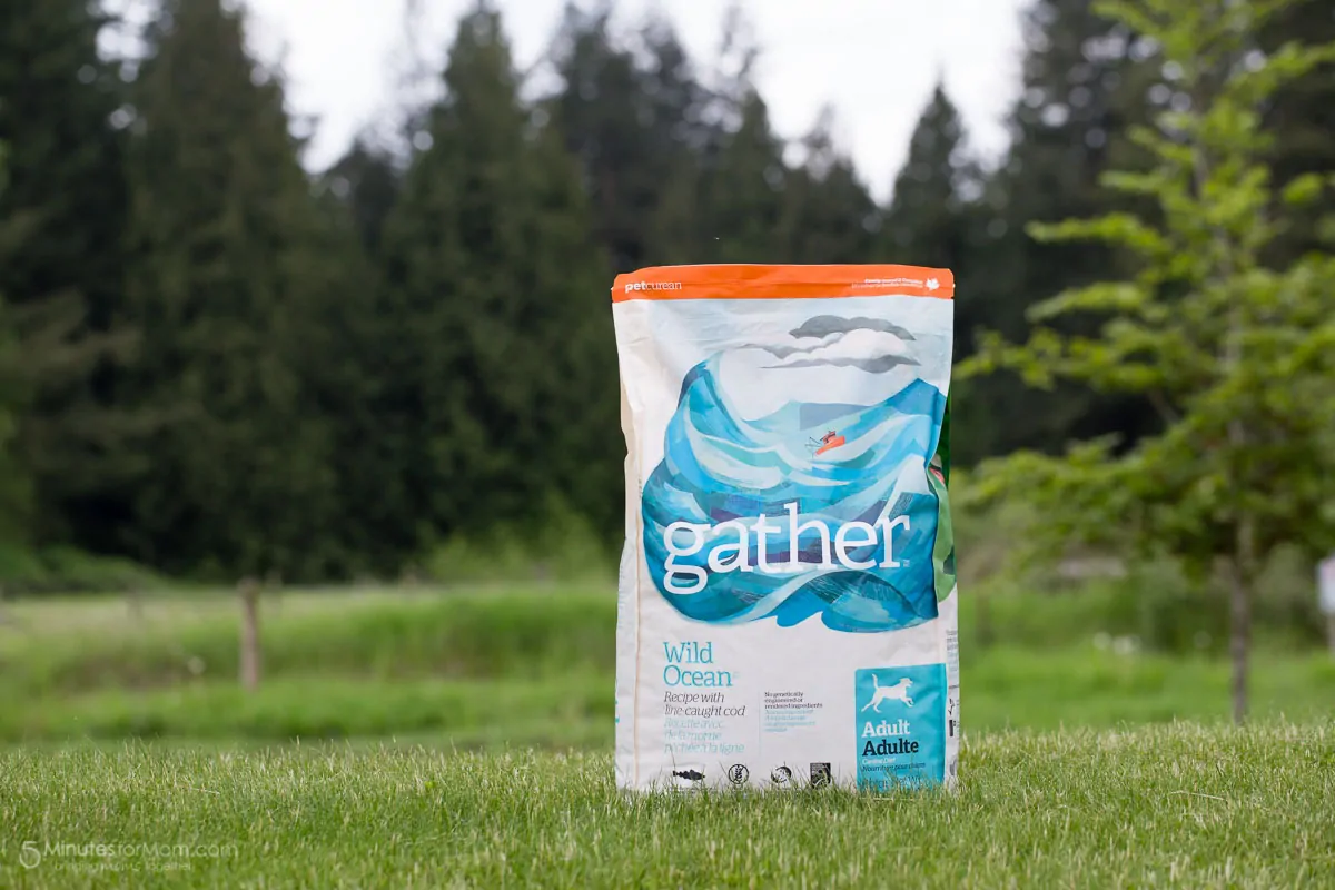 Gather Organic Pet Food