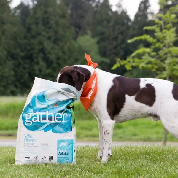 Is Your Pets’ Food Ethically Sourced? #GATHERtogether