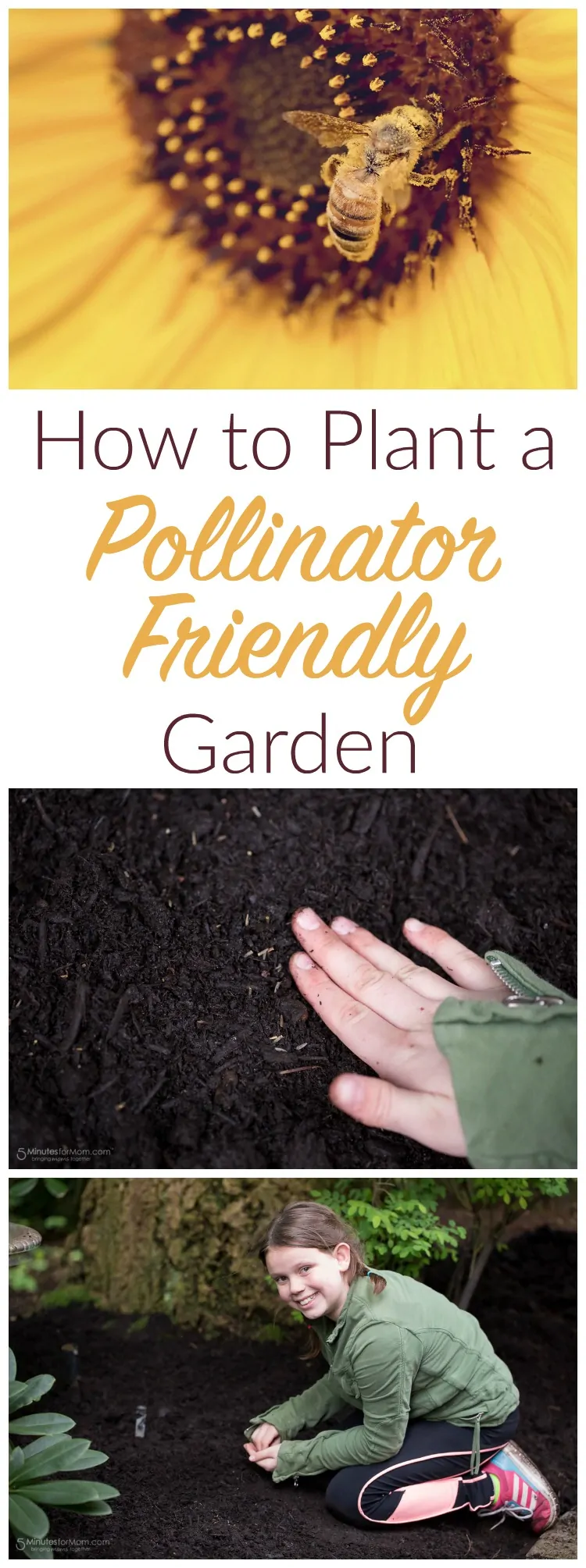 How to Plant a Pollinator-Friendly Garden