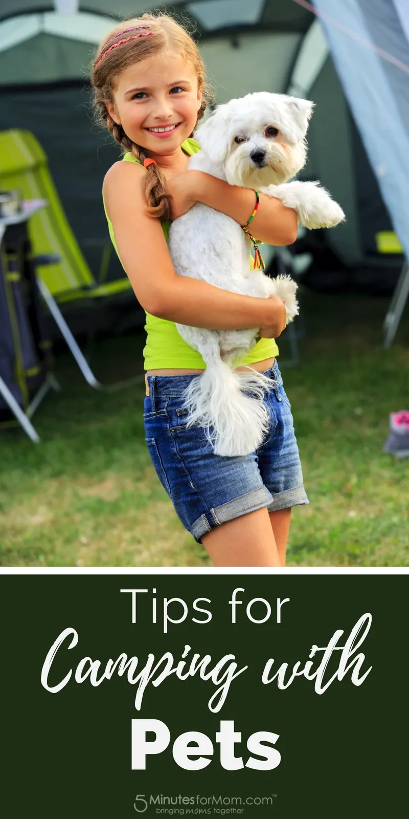 Tips for Camping with Pets