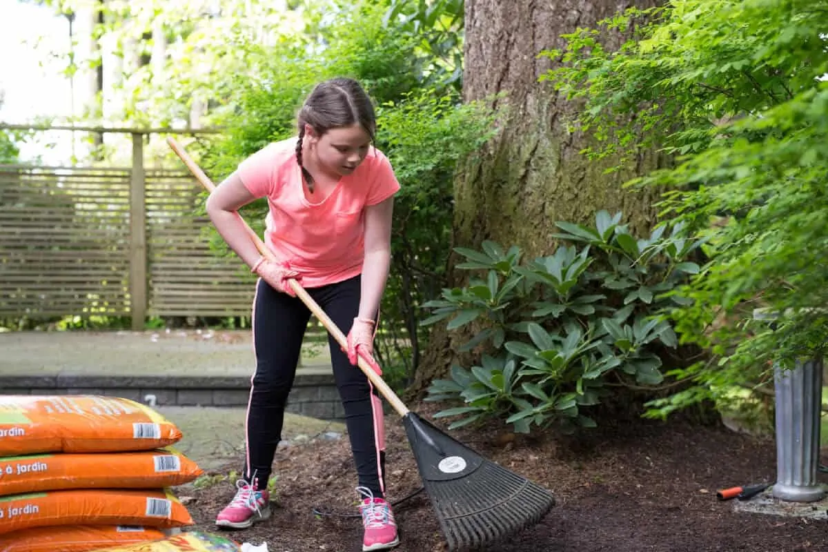 11 year old girl gardening in her backyard