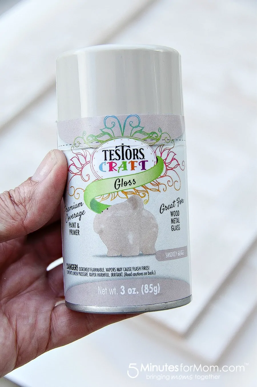 Testors Craft Paint