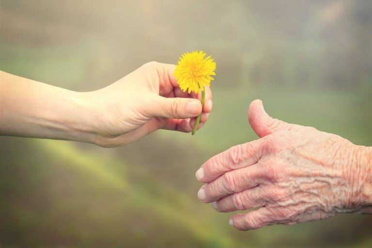 3 Stress-Free Ways To Care For Aging Parents