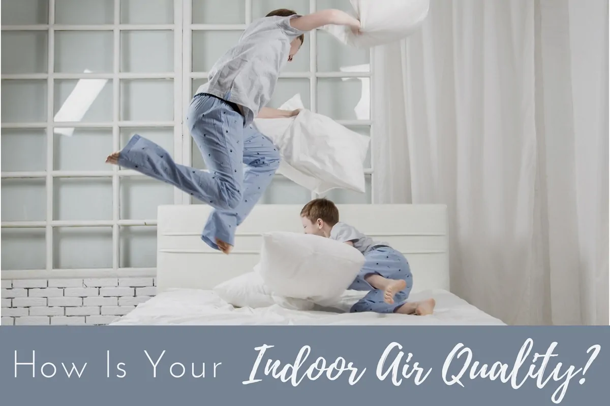 How is your indoor air quality