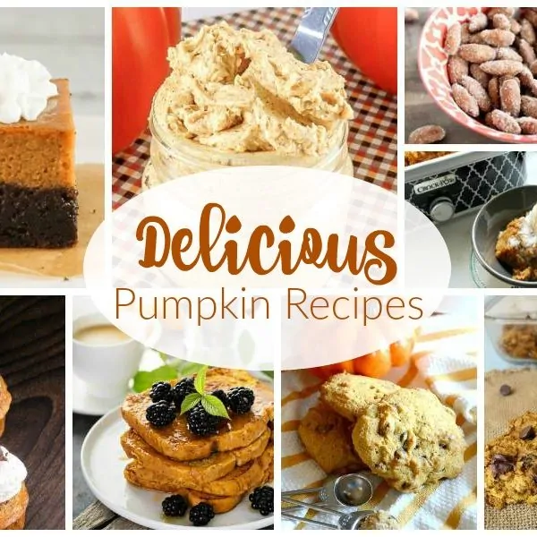 Favorite Pumpkin Recipes and our Delicious Dishes Recipe Party