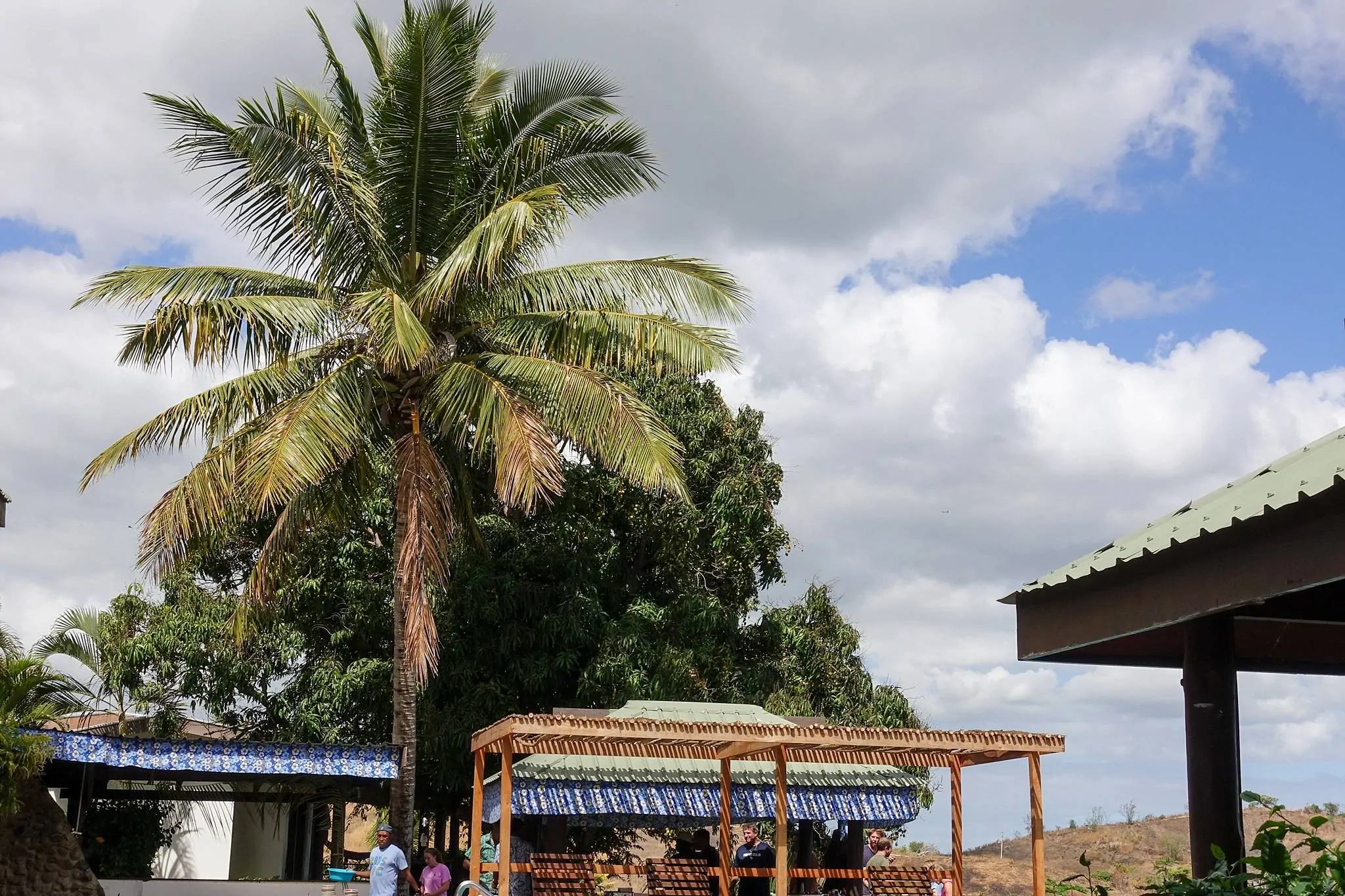 Fiji Rustic Pathways Student Travel