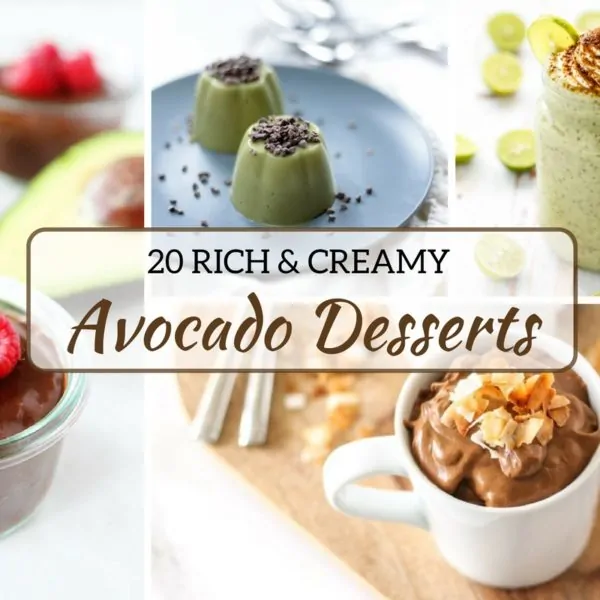 20 Rich and Creamy Avocado Dessert Recipes