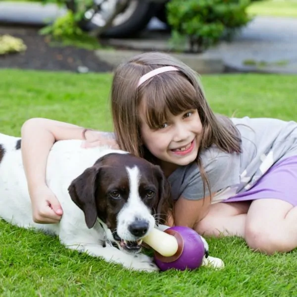 Adopting A Dog Will Bless Your Family… If You Answer These Questions First