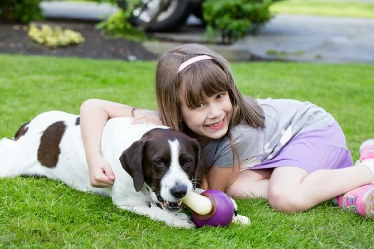 Adopting A Dog Will Bless Your Family… If You Answer These Questions First