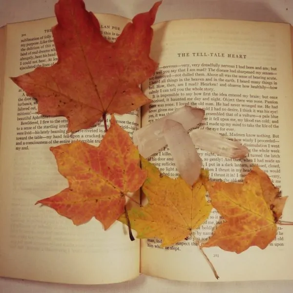 Autumn- A Perfect Time to Tackle Your TBR List