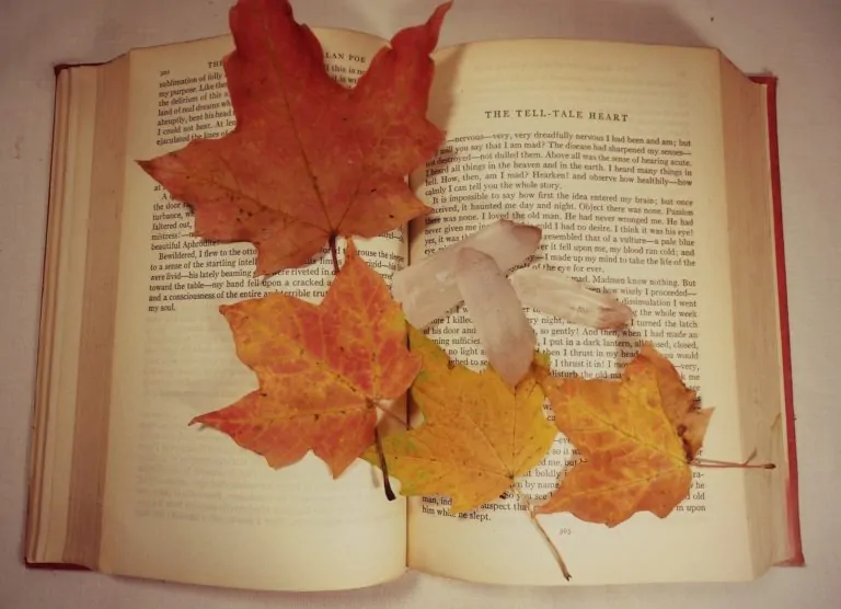 Autumn- A Perfect Time to Tackle Your TBR List