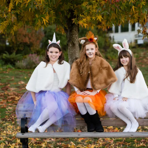 DIY Halloween Costumes For Girls