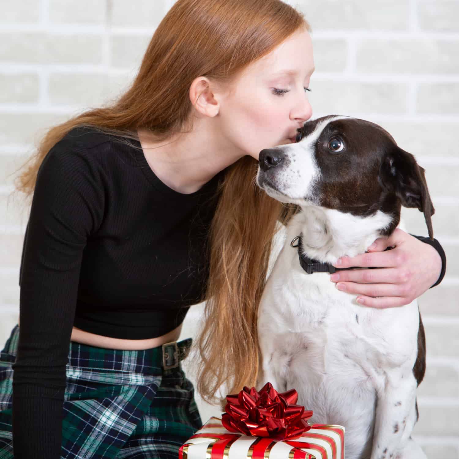 best dog gifts 2017