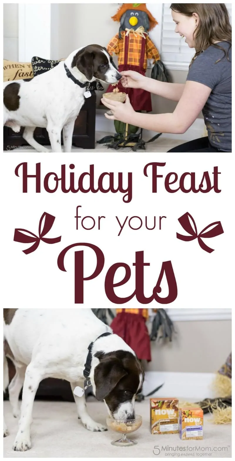 Holiday Feast for your Pets