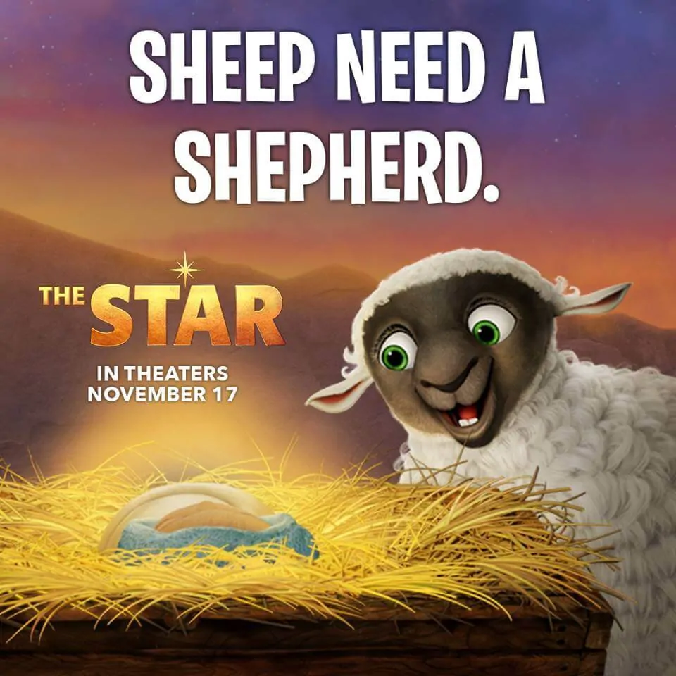 Sheep Need A Shephard - The Star Movie