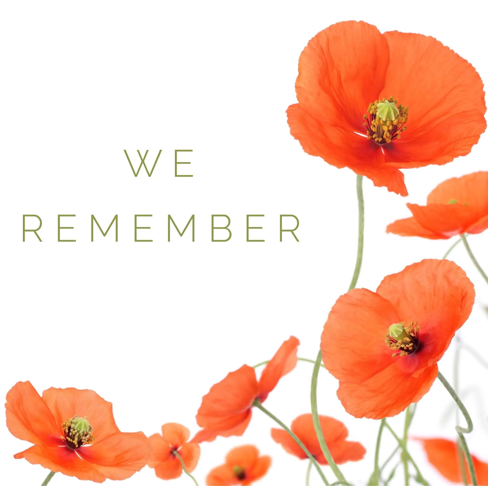 We Remember